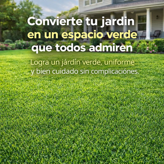 Semillas de Césped para lograr un jardín verde, parejo y saludable