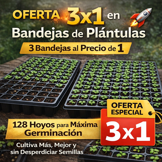 Oferta 3x1: Bandejas de Plántulas con 128 Hoyos para Máxima Germinación